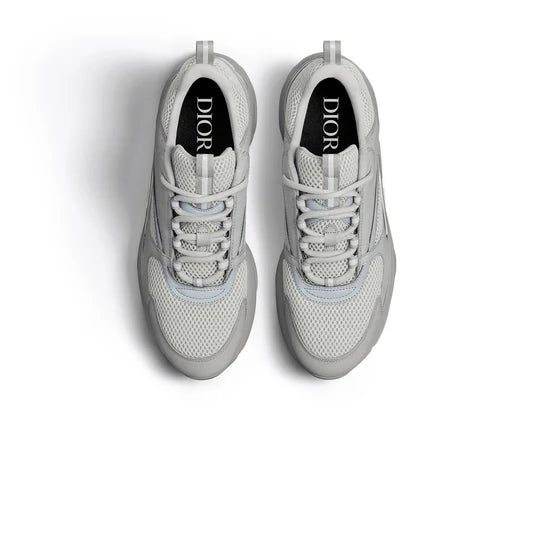 Dior B22 "Grey"